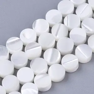 Trochus Shell Beads Strands