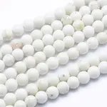 Natural Magnesite Beads Strands
