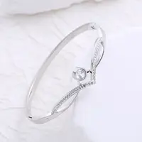 Stainless Steel Micro Pave Cubic Zirconia Bangles