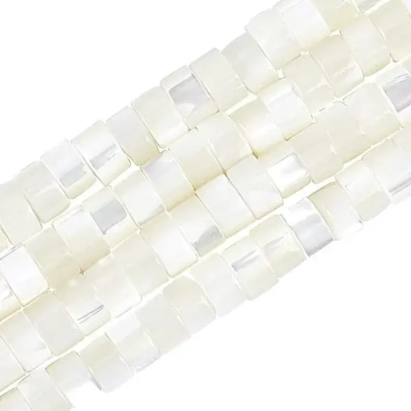 Natural Trochid Shell/Trochus Shell Beads Strands