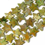 Natural Freshwater Shell Beads Strands