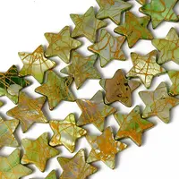 Natural Freshwater Shell Beads Strands