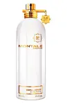 Montale Nepal Aoud - EDP 100 ml