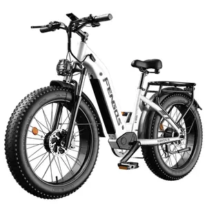 FENGQS H2 Pro Electric Bike 1000W Dual Motor 52V 20Ah 50km/h White