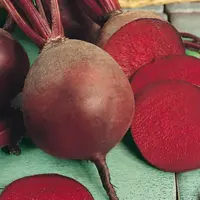 Bona cvikla guľatá