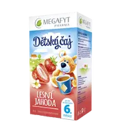 MEGAFYT Dětský čaj lesní jahoda 20 x 2 g