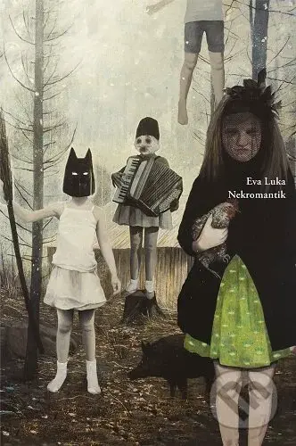 Nekromantik - Eva Luka - kniha z kategorie Poezie