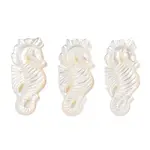 Natural White Shell Carved Pendants