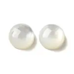 Natural White Shell Cabochons