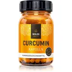 WoldoHealth® Curcumin kapsle pro udržení vitality 120 cps
