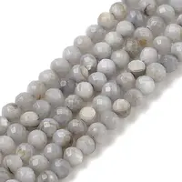 Natural Freshwater Shell Dyed Beads Strands