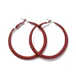 Alloy Big Hoop Earrings for Women