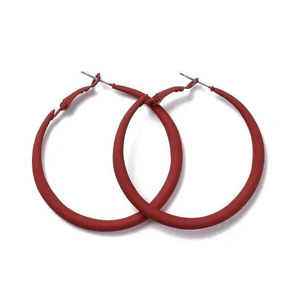 Alloy Big Hoop Earrings for Women