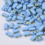 2-Hole Glass Seed Beads