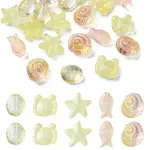 25Pcs 5 Style Ocean Themed Transparent Glass Beads Sets