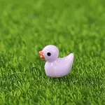 Mini Duck Resin Display Decorations