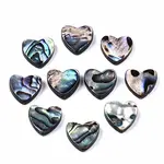Natural Abalone Shell/Paua Shell Beads