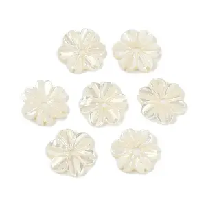 Natural Trochus Shell Flower Charms