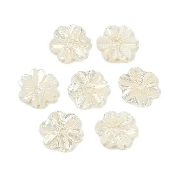 Natural Trochus Shell Flower Charms