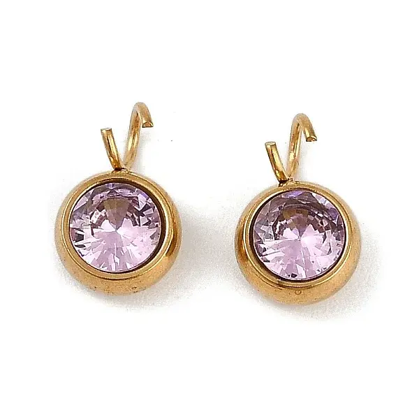 Ion Plating(IP) 304 Stainless Steel Micro Pave Cubic Zirconia Charms