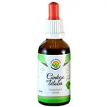 Salvia Paradise Ginkgo biloba bezalkoholová tinktura tinktura pro podporu paměti a koncentrace 50 ml