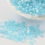 Two Cut Glass Seed Beads
