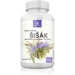 Allnature Šišák kapsle s antioxidačním účinkem 60 cps