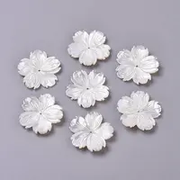 Natural White Shell Beads