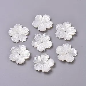 Natural White Shell Beads
