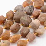 Raw Rough Natural Yellow Botswana Agate Beads Strands