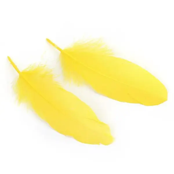 Goose Feather Costume Accessories