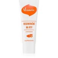Aromatica Tradice z přírody Kosmín regenerační na rty regenerační mast na rty 25 ml