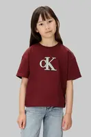 Dětské bavlněné tričko Calvin Klein Jeans vínová barva, IG0IG03040