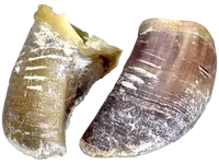 LK Baits Pet Hovězí Kopyta 2ks,140g