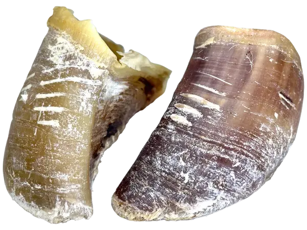 LK Baits Pet Hovězí Kopyta 2ks,140g