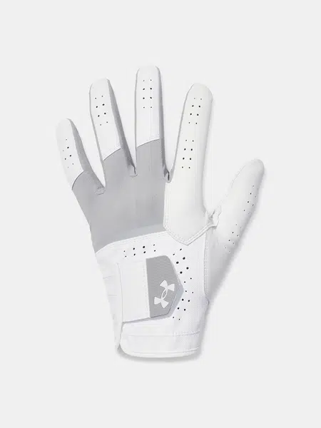 Men's gloves Under Armour Glide Iso-Chill Pro - Men's