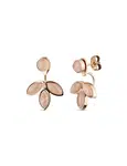 Lilies Rose Earrings