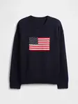 GAP Children's sweater Americana - Boys