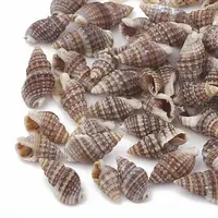 Sea Shell Beads
