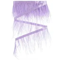 2M Fashion Ostrich Feather Trimming