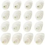Natural Spiral Shell Beads
