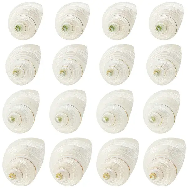 Natural Spiral Shell Beads