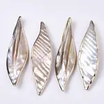 Natural Freshwater Shell Big Pendants