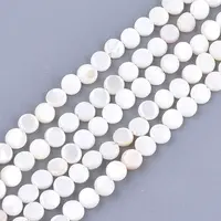 Freshwater Shell Beads Strands