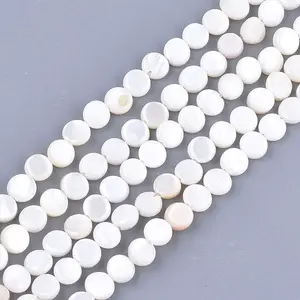 Freshwater Shell Beads Strands