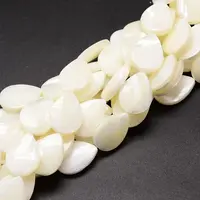 Natural Trochid Shell/Trochus Shell Beads Strands