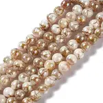 Drawbench Style Natural Freshwater Shell Beads Strands