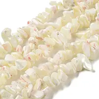 Natural Trochus Shell Beads Strands