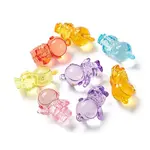 Transparent Acrylic Pendants