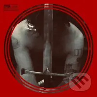 Ryan Adams:  Sword & Stone LP - Ryan Adams